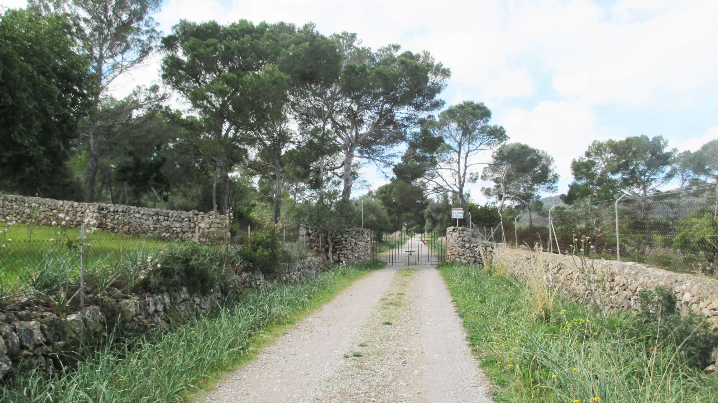 Excursion near Finca