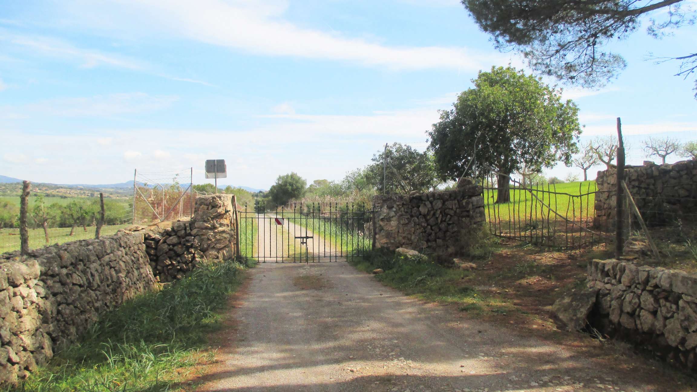 Excursion near Finca