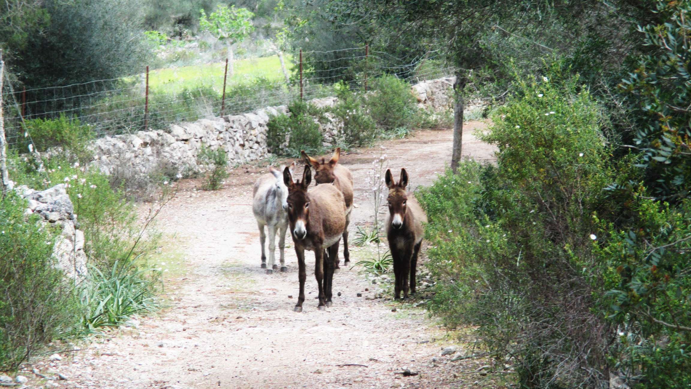 Excursion near Finca