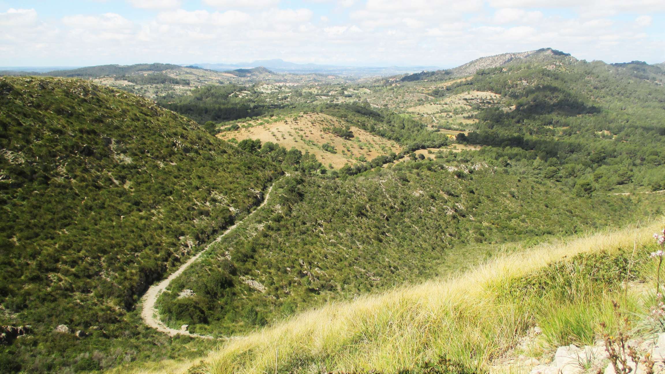 Excursion near Finca