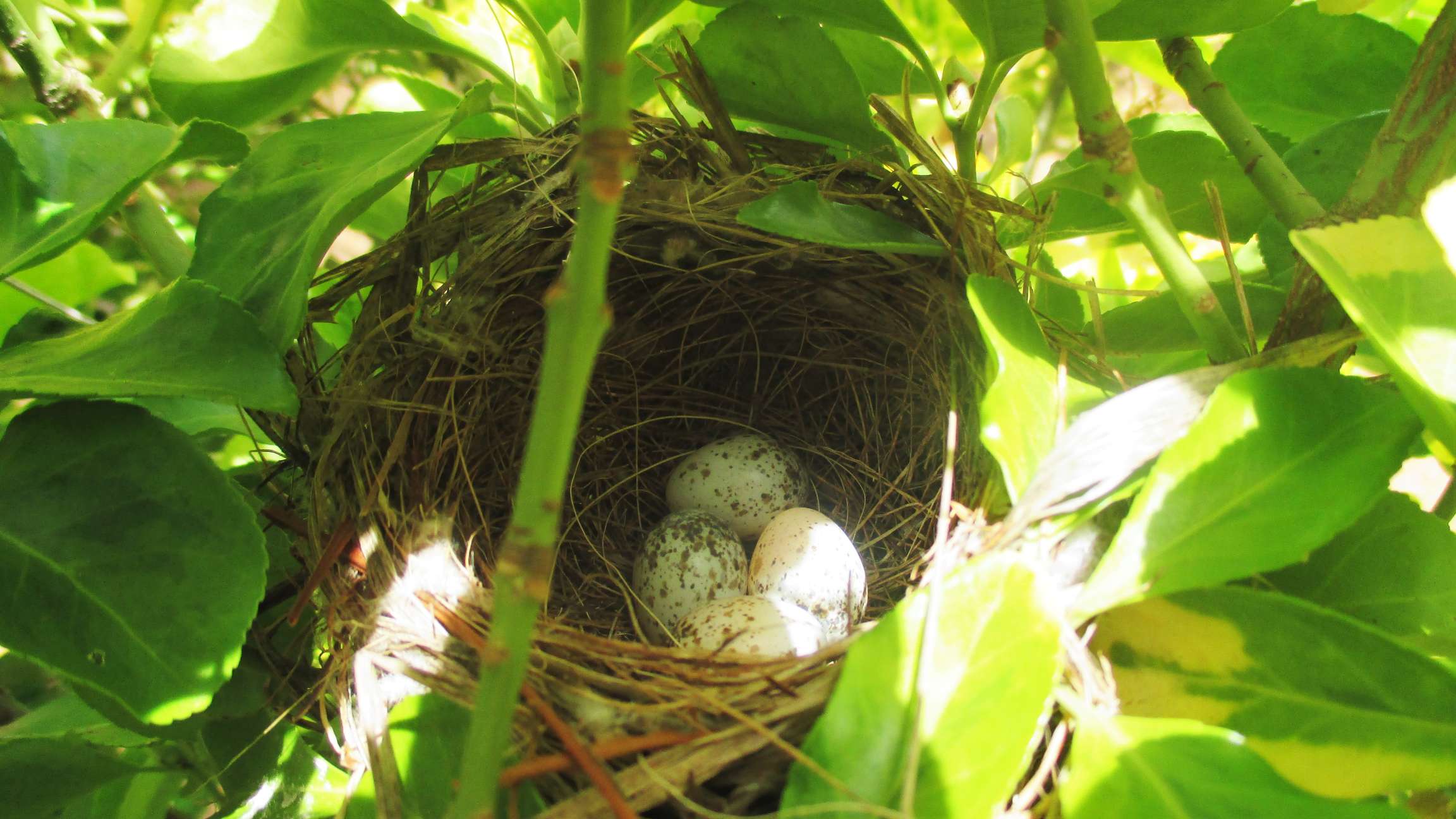 resized_IMG_6253 (2)