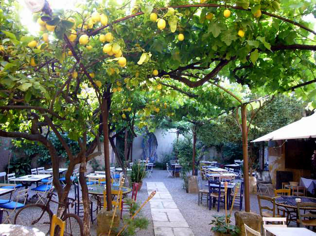 Finca Vista Alegre 6