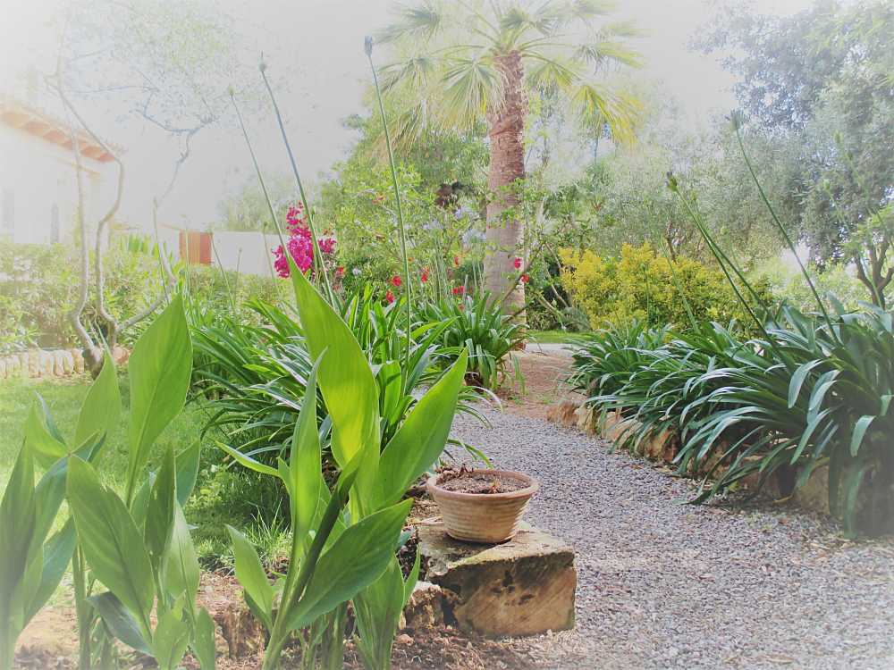 IMG_0414 (2)_opt (1)